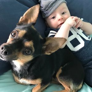 Meet your Posher, Charlene